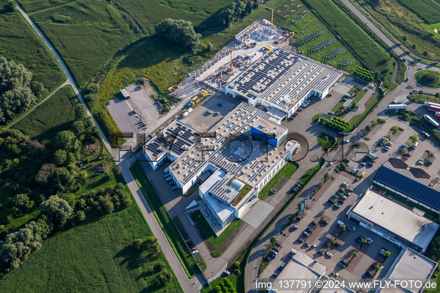 Vue aérienne de Zimmer Group Am Glockenloch à le quartier Freistett in Rheinau dans le département Bade-Wurtemberg, Allemagne