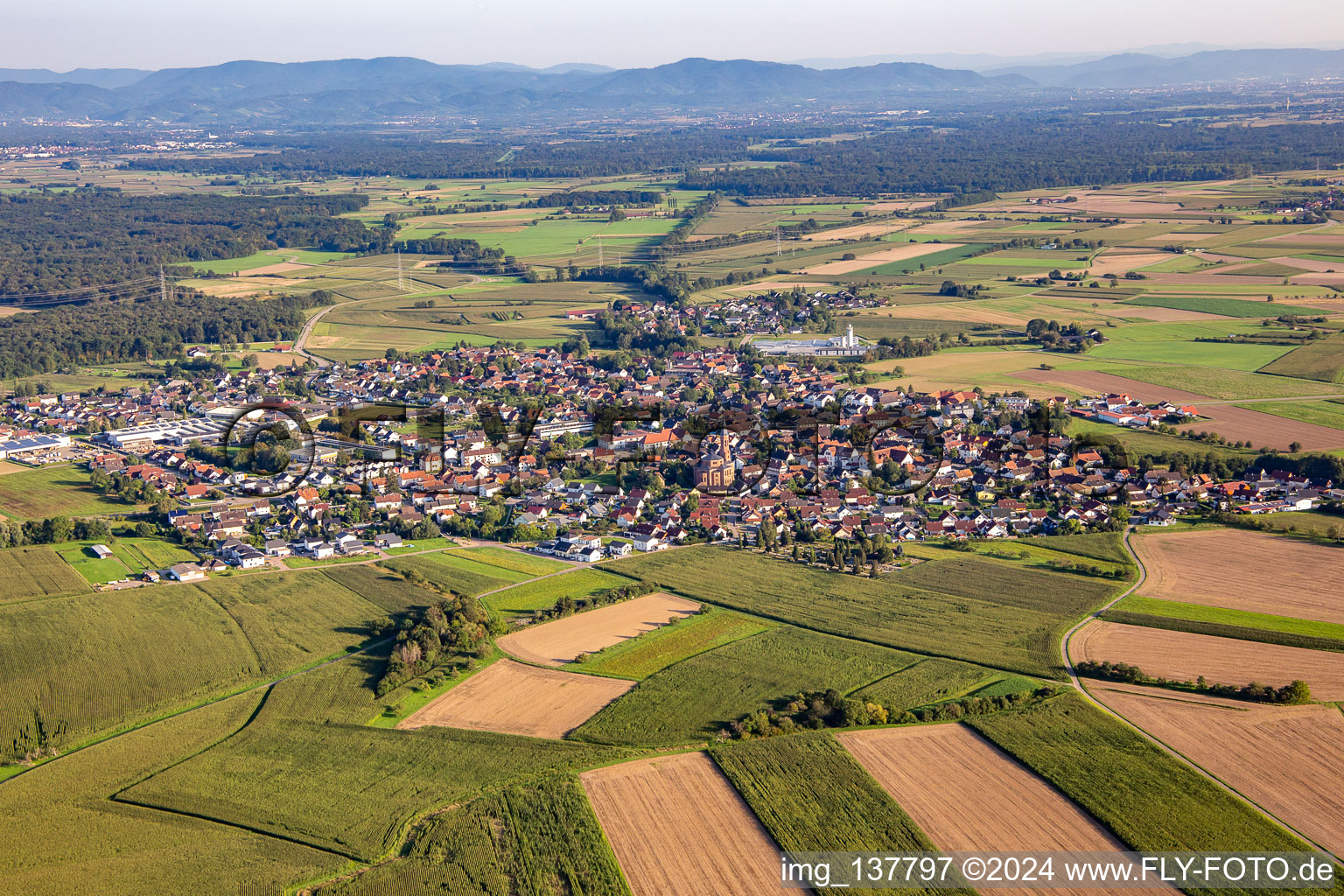 Vue aérienne de Du nord à le quartier Rheinbischofsheim in Rheinau dans le département Bade-Wurtemberg, Allemagne