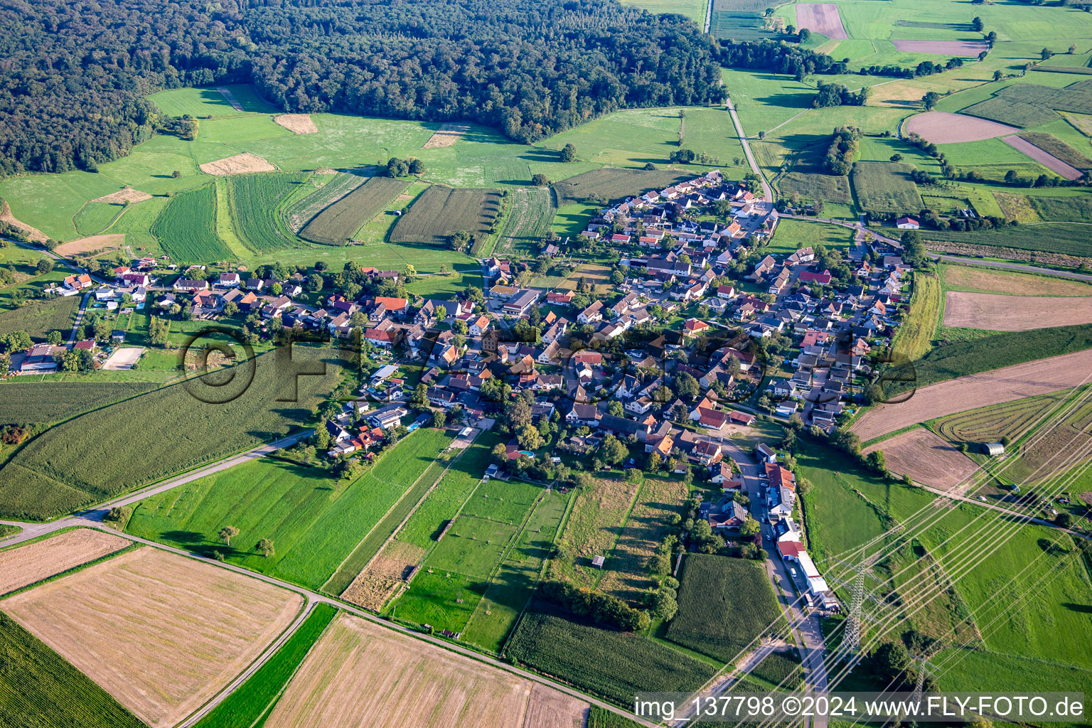 Vue aérienne de Quartier Zierolshofen in Kehl dans le département Bade-Wurtemberg, Allemagne