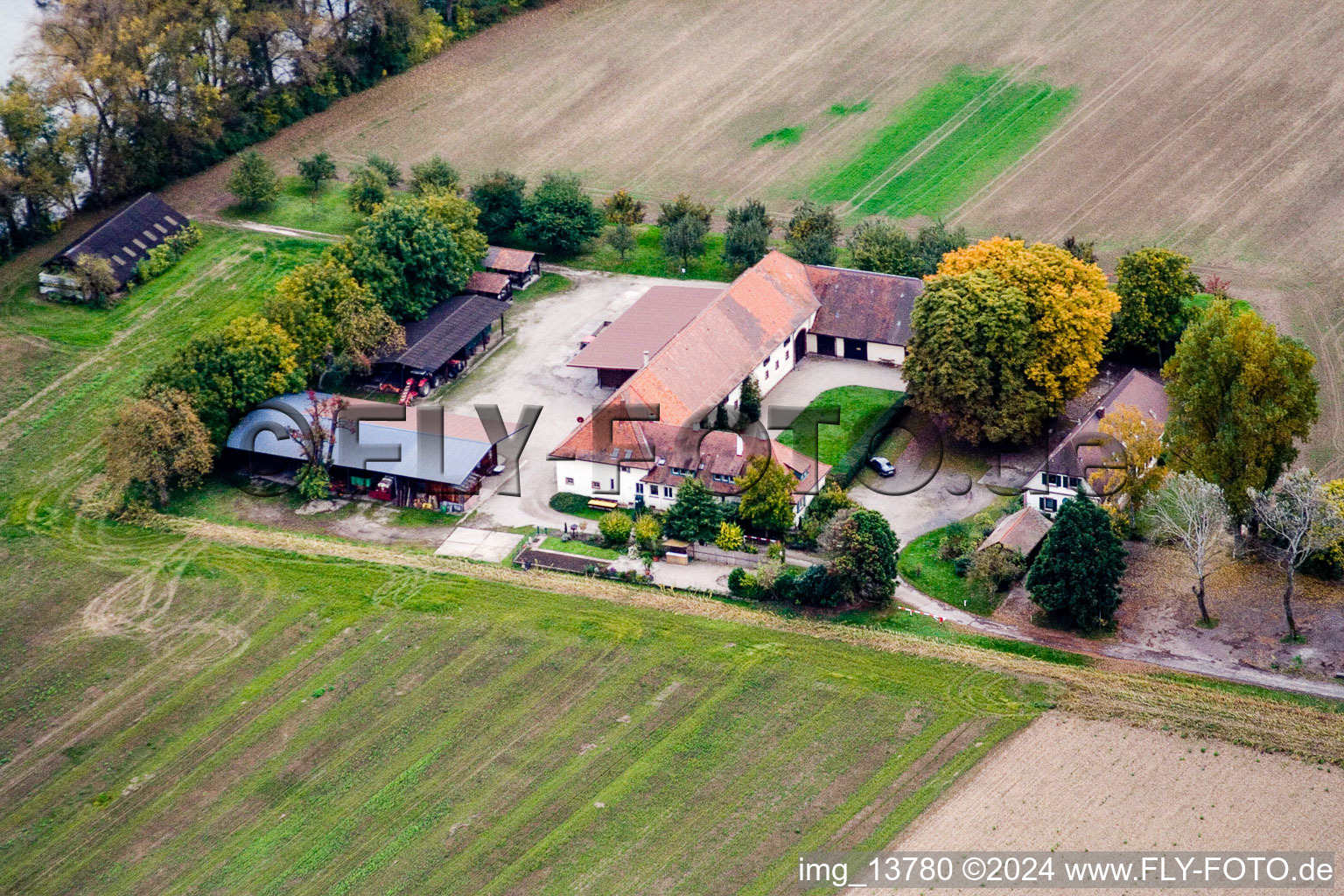 Vue aérienne de Ludwigsau sur le Rhin à le quartier Maximiliansau in Wörth am Rhein dans le département Rhénanie-Palatinat, Allemagne