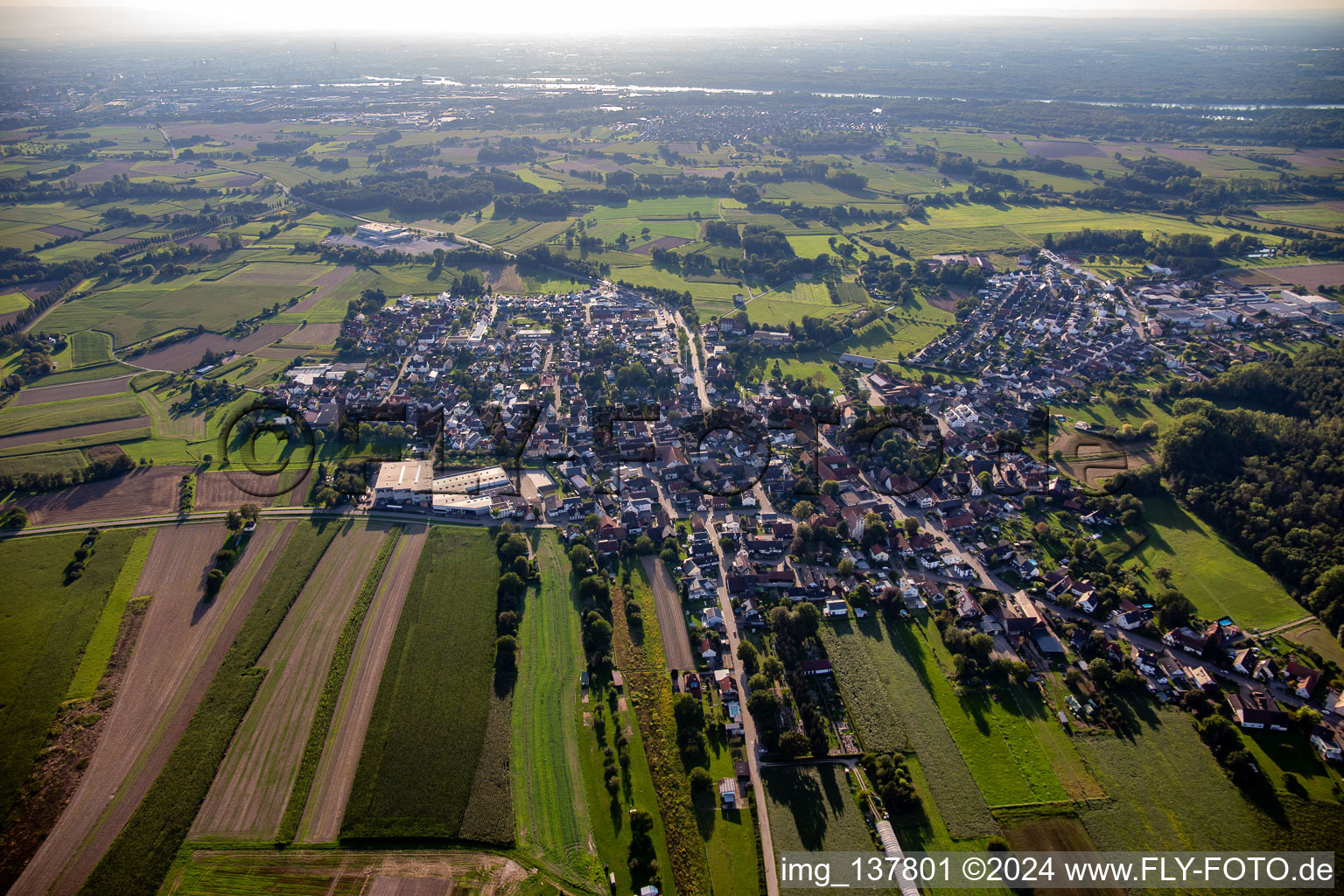 Vue aérienne de Du nord-est à le quartier Bodersweier in Kehl dans le département Bade-Wurtemberg, Allemagne