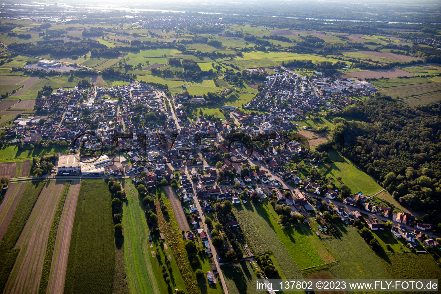 Vue aérienne de Du nord-est à le quartier Bodersweier in Kehl dans le département Bade-Wurtemberg, Allemagne