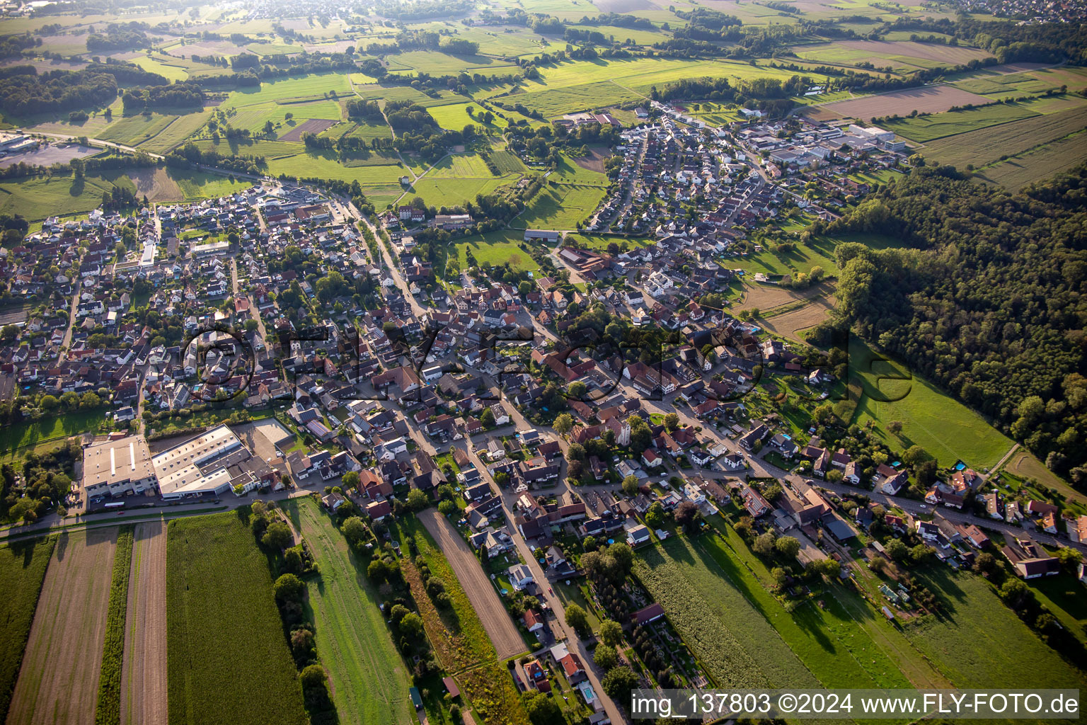 Photographie aérienne de Du nord-est à le quartier Bodersweier in Kehl dans le département Bade-Wurtemberg, Allemagne