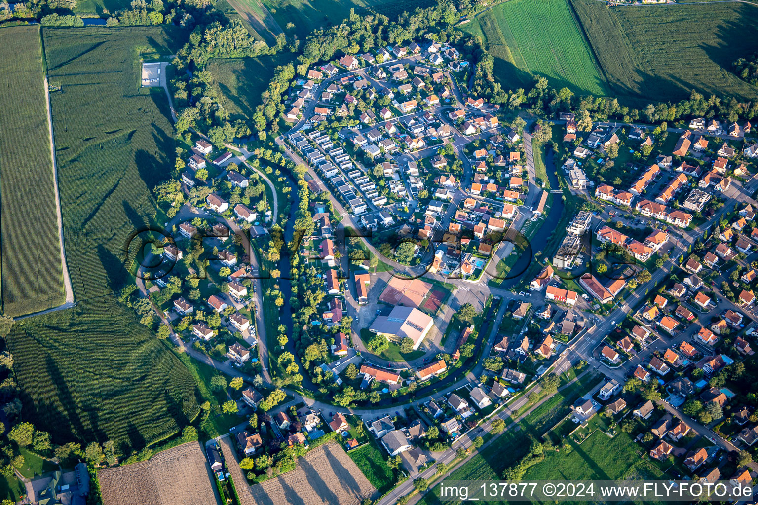 Vue aérienne de Rue de l'Étang à Plobsheim dans le département Bas Rhin, France