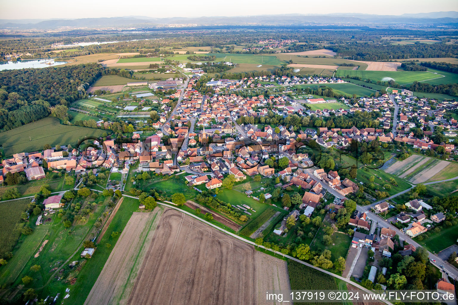 Obenheim dans le département Bas Rhin, France vue d'en haut