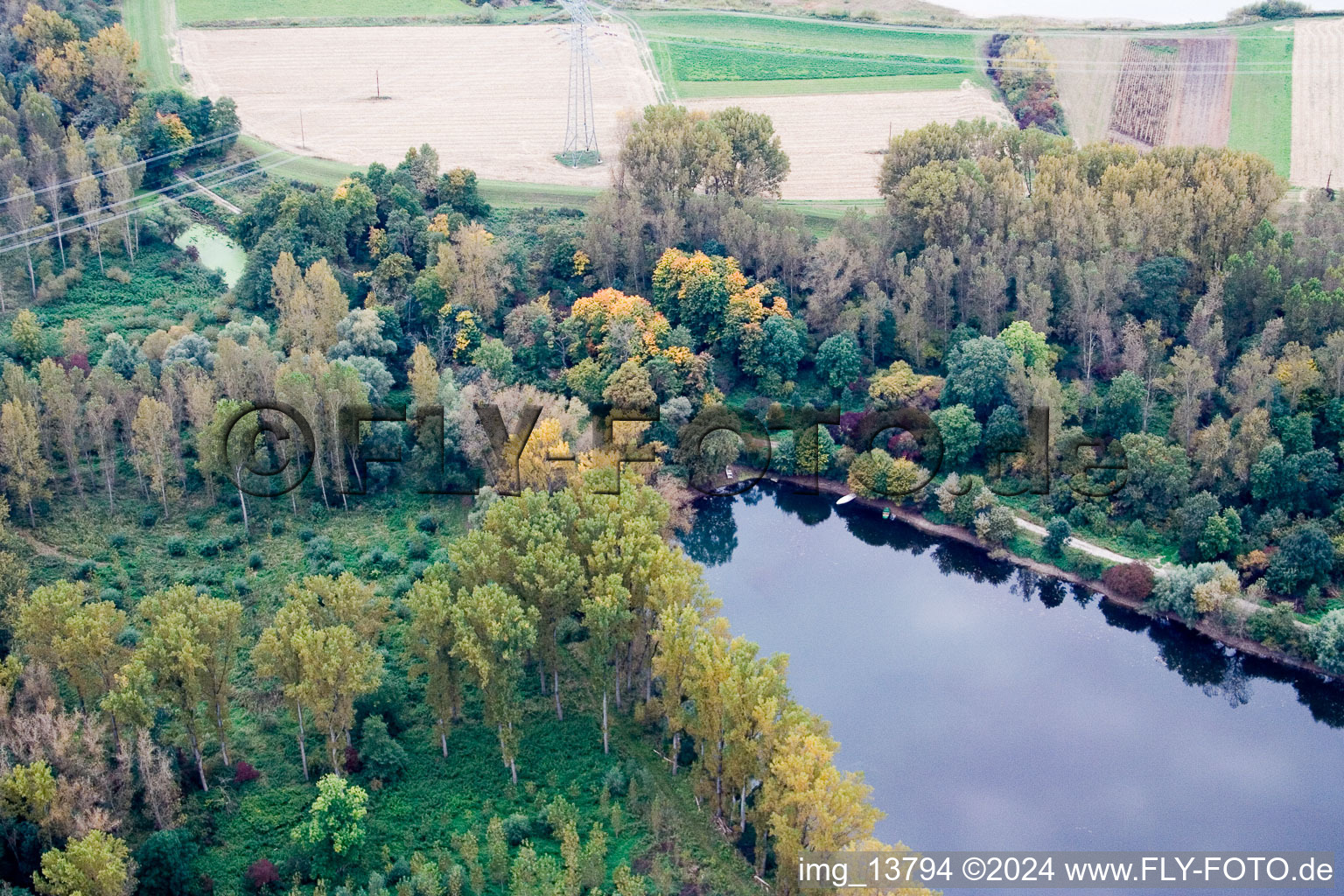 Vue aérienne de Maximilansau, Vieux Rhin à le quartier Maximiliansau in Wörth am Rhein dans le département Rhénanie-Palatinat, Allemagne