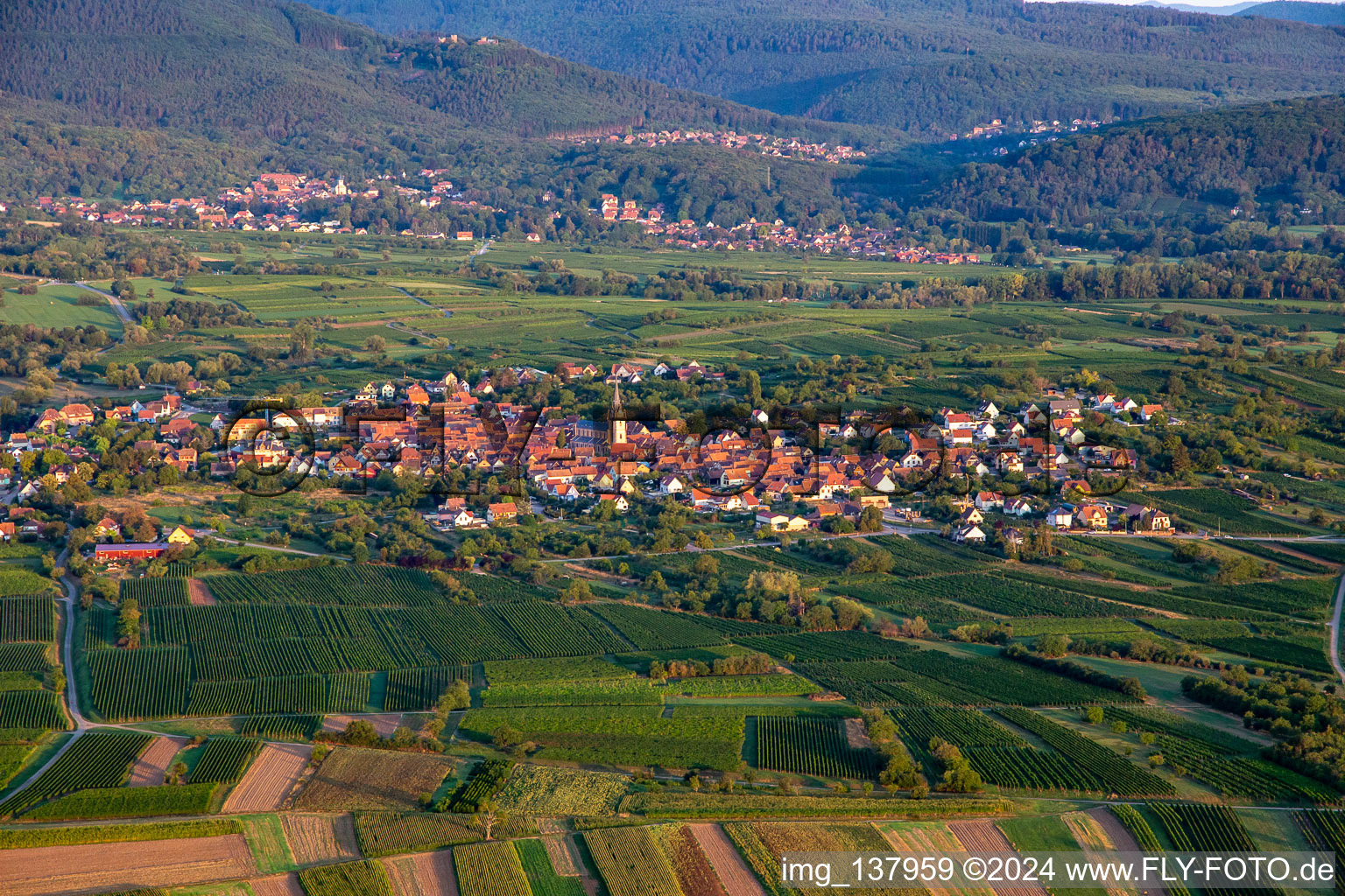 Vue aérienne de De l'est à Bernardswiller dans le département Bas Rhin, France