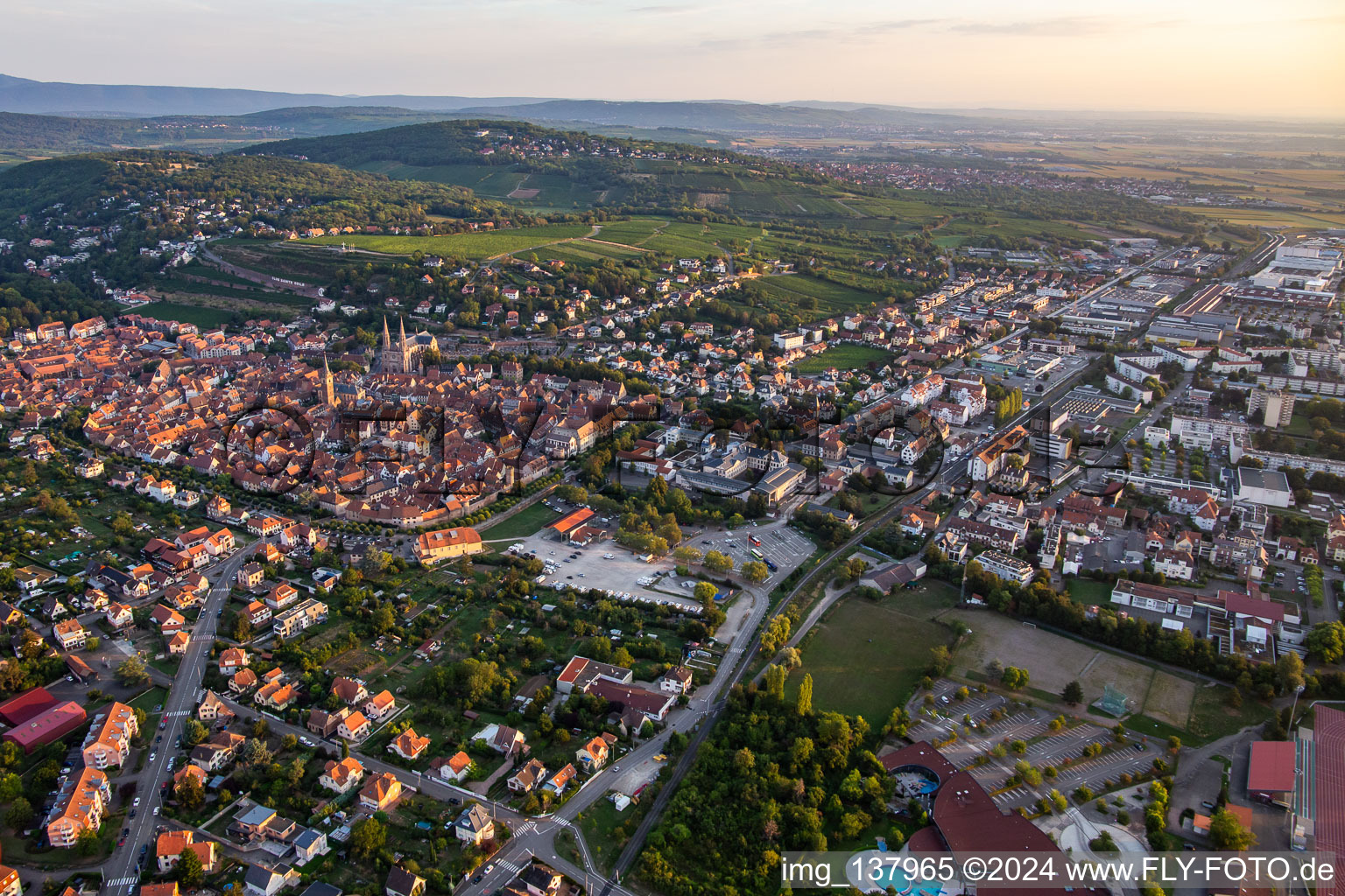 Vue aérienne de Du sud-est à Obernai dans le département Bas Rhin, France