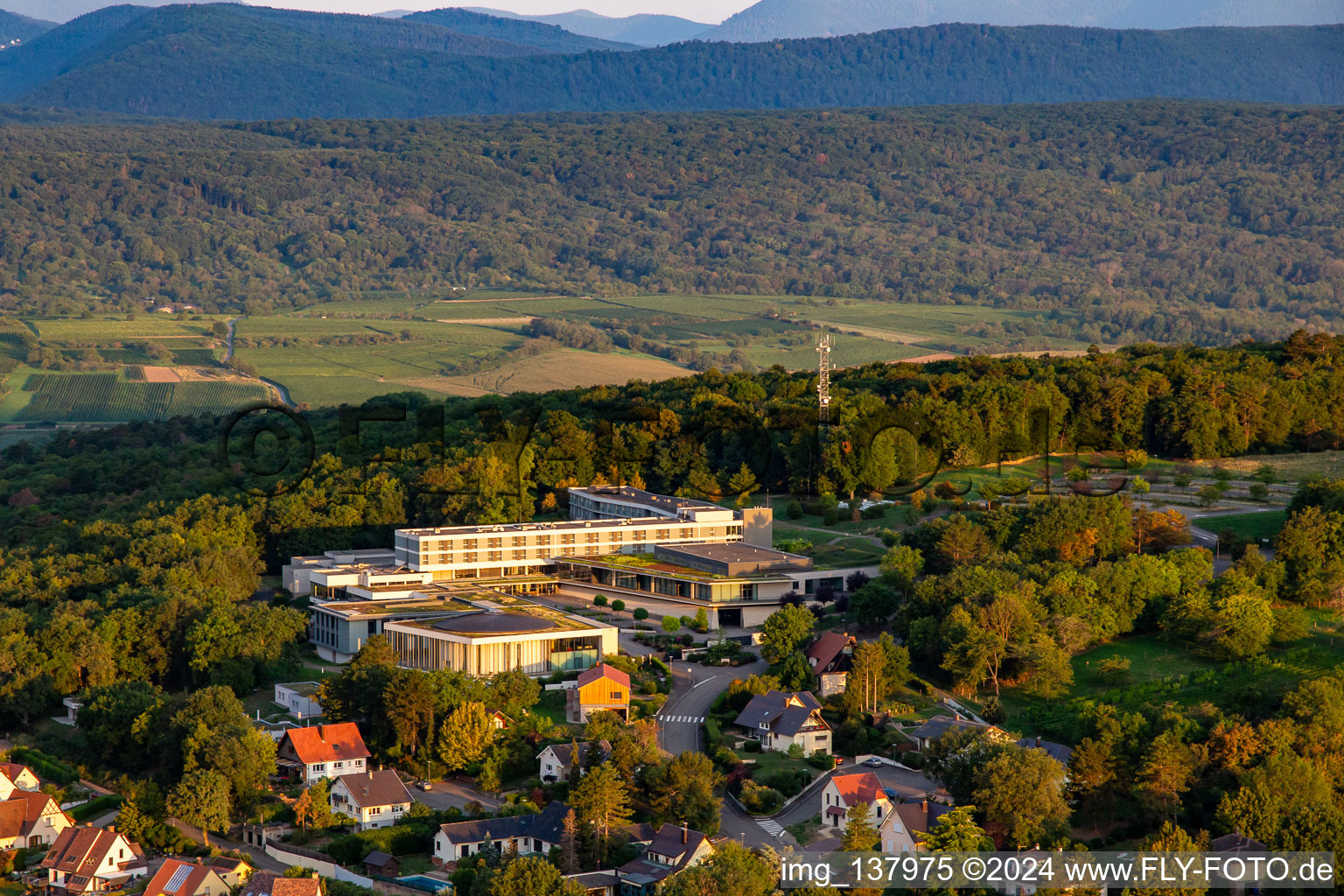 Vue aérienne de Le Bischenberg à Bischoffsheim dans le département Bas Rhin, France