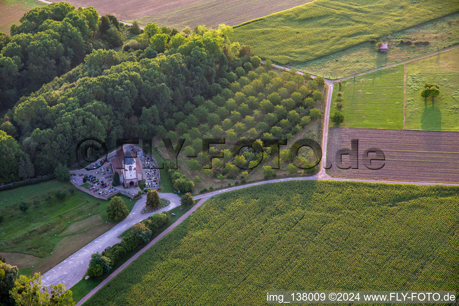 Vue aérienne de Église Saint-Pierre (dite « Dompeter ») - XIIème siècle à Molsheim dans le département Bas Rhin, France