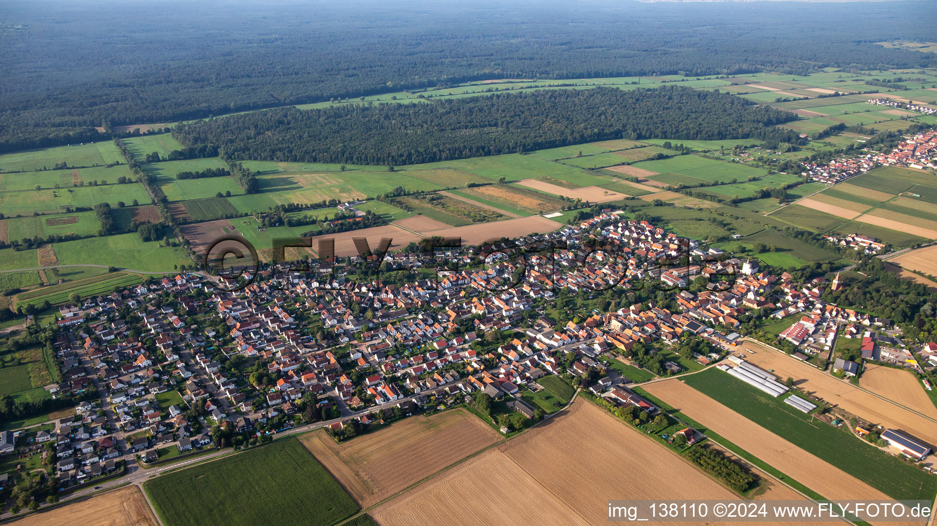 Vue aérienne de Du nord à Minfeld dans le département Rhénanie-Palatinat, Allemagne