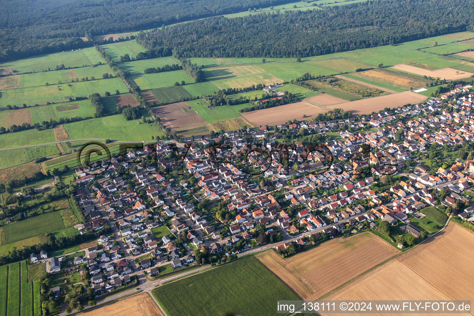 Vue aérienne de Du nord à Minfeld dans le département Rhénanie-Palatinat, Allemagne