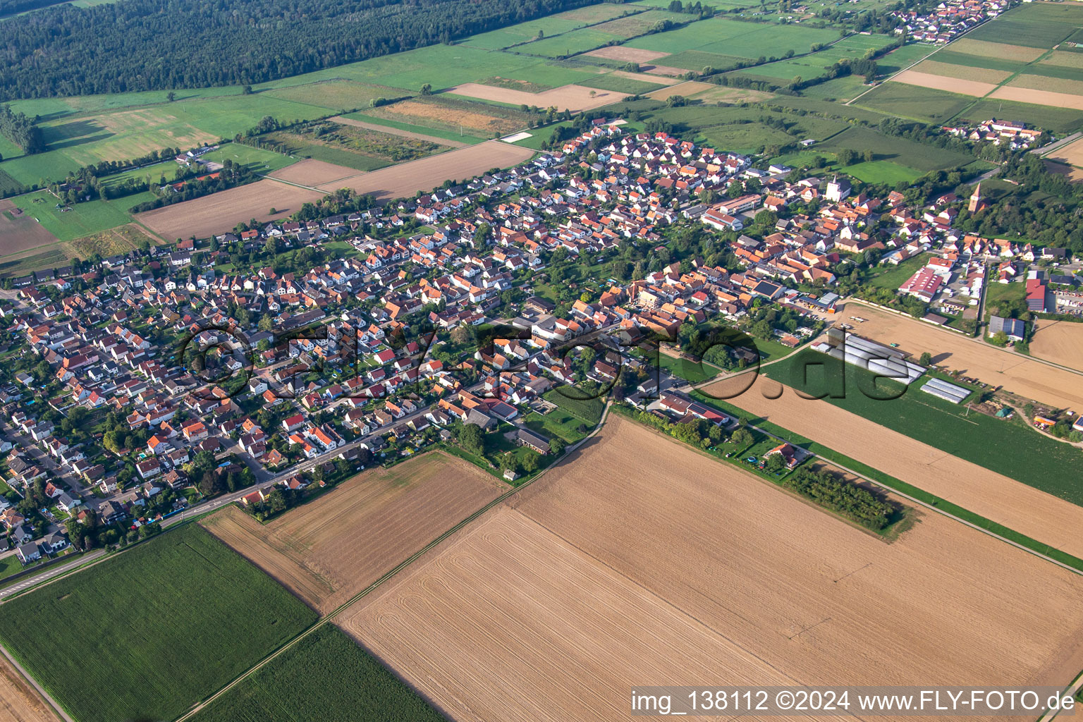 Photographie aérienne de Du nord à Minfeld dans le département Rhénanie-Palatinat, Allemagne