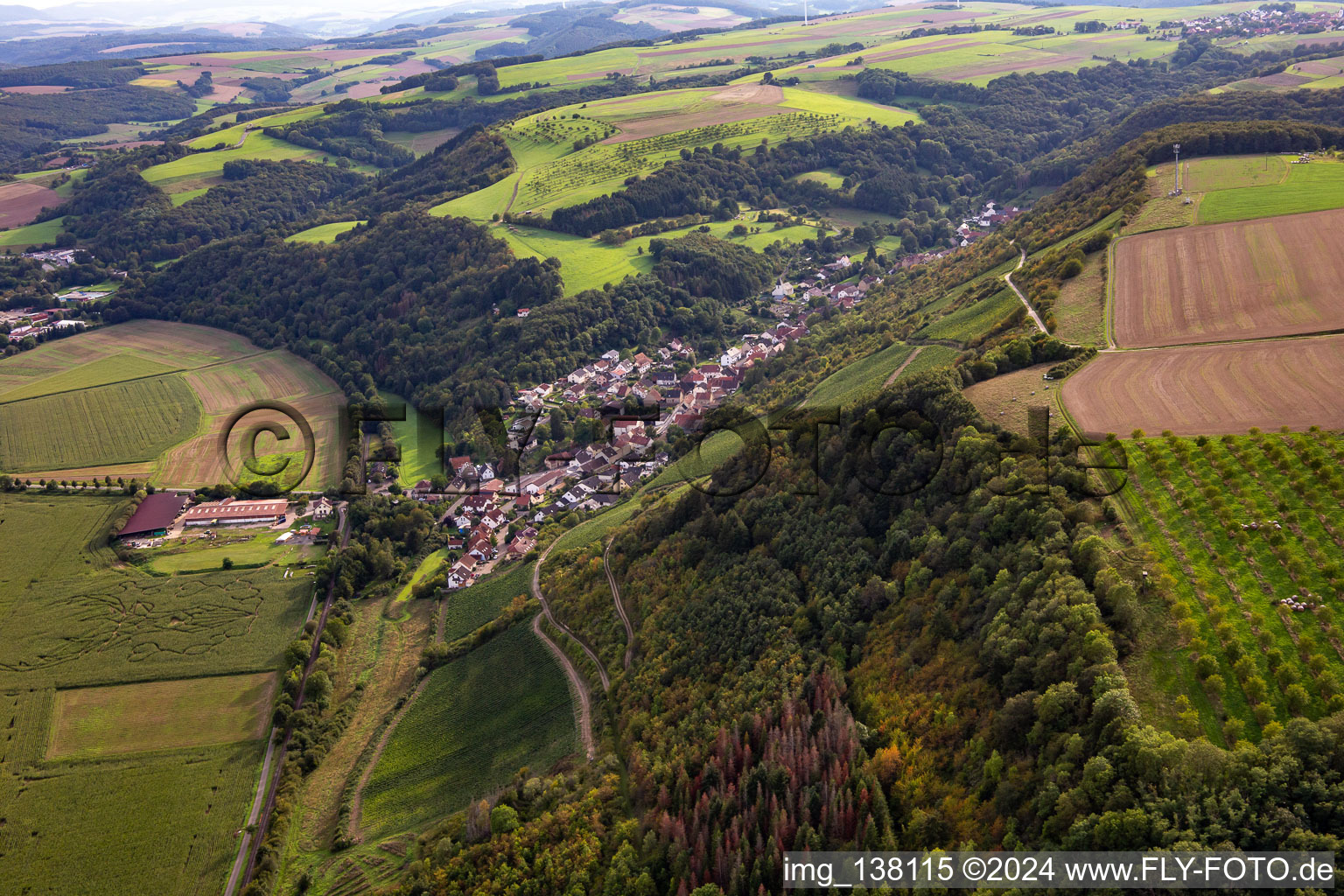 Photographie aérienne de Raumbach dans le département Rhénanie-Palatinat, Allemagne