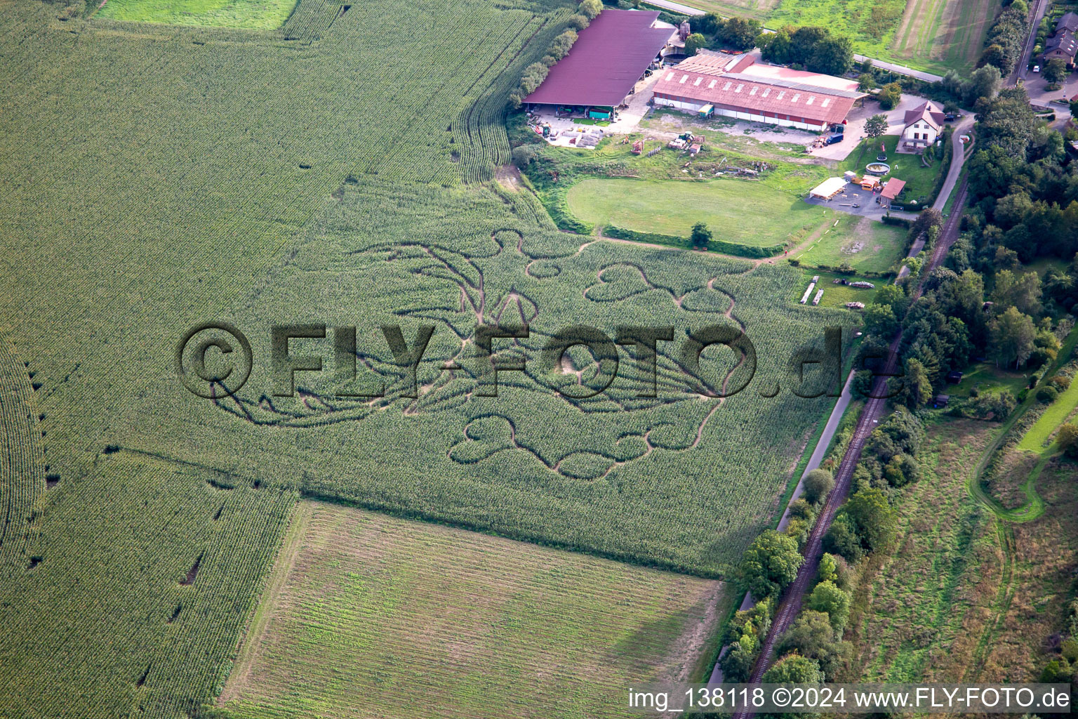 Vue aérienne de Labyrinthe de maïs de Raumbach à Meisenheim dans le département Rhénanie-Palatinat, Allemagne