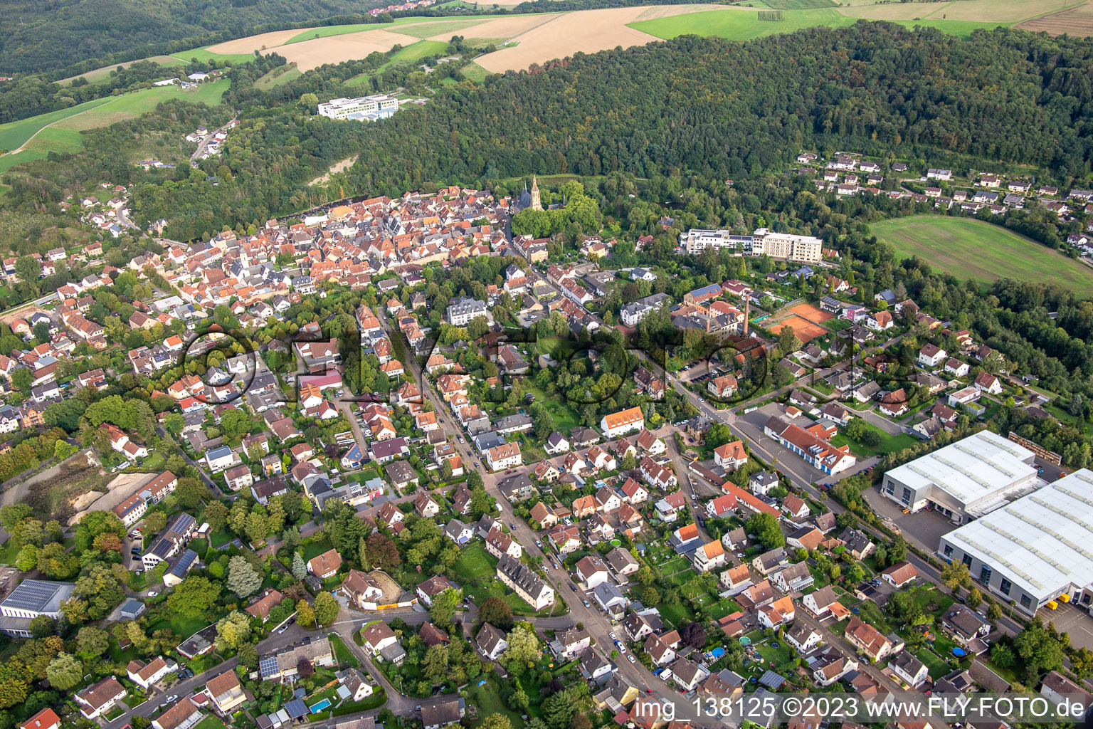 Meisenheim dans le département Rhénanie-Palatinat, Allemagne d'un drone