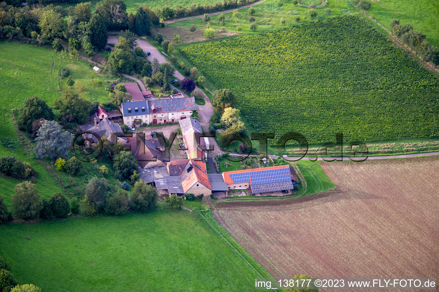 Vue aérienne de Domaine viticole de Racknitz à Odernheim am Glan dans le département Rhénanie-Palatinat, Allemagne