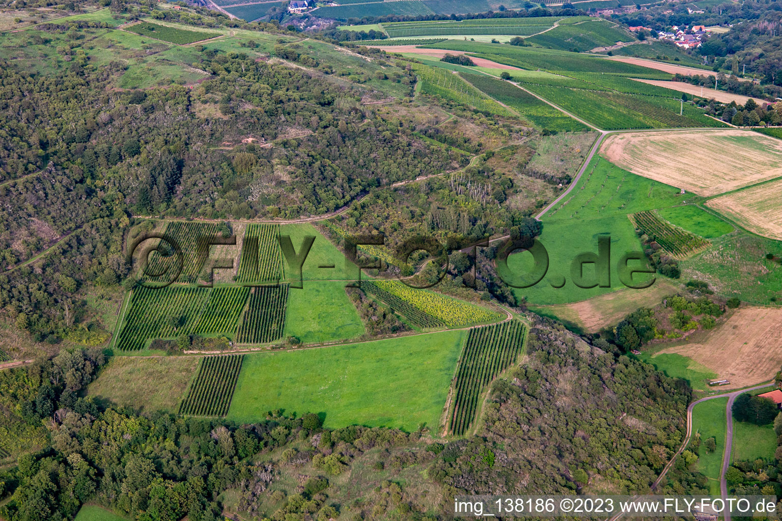 Vue aérienne de Restwingert sur le Gangelsberg à Duchroth dans le département Rhénanie-Palatinat, Allemagne