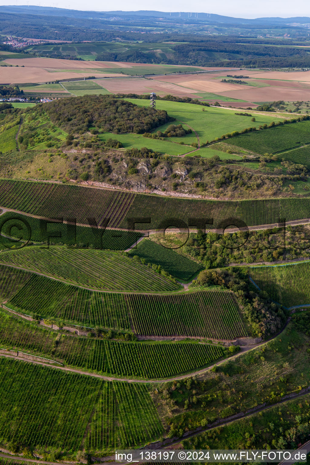 Vue aérienne de Tour Heimberg Schloßböckelheim à Schloßböckelheim dans le département Rhénanie-Palatinat, Allemagne