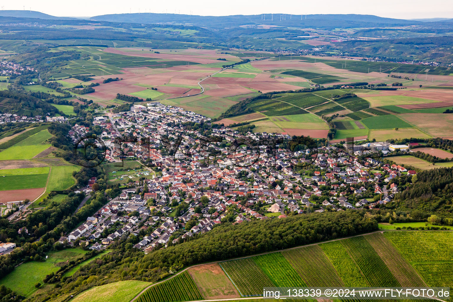 Vue aérienne de Hargesheim dans le département Rhénanie-Palatinat, Allemagne