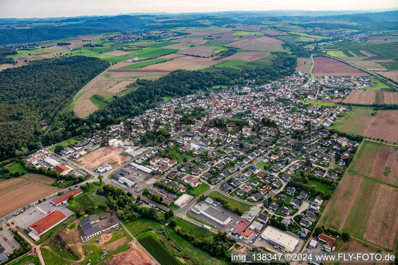 Vue aérienne de Rüdesheim dans le département Rhénanie-Palatinat, Allemagne