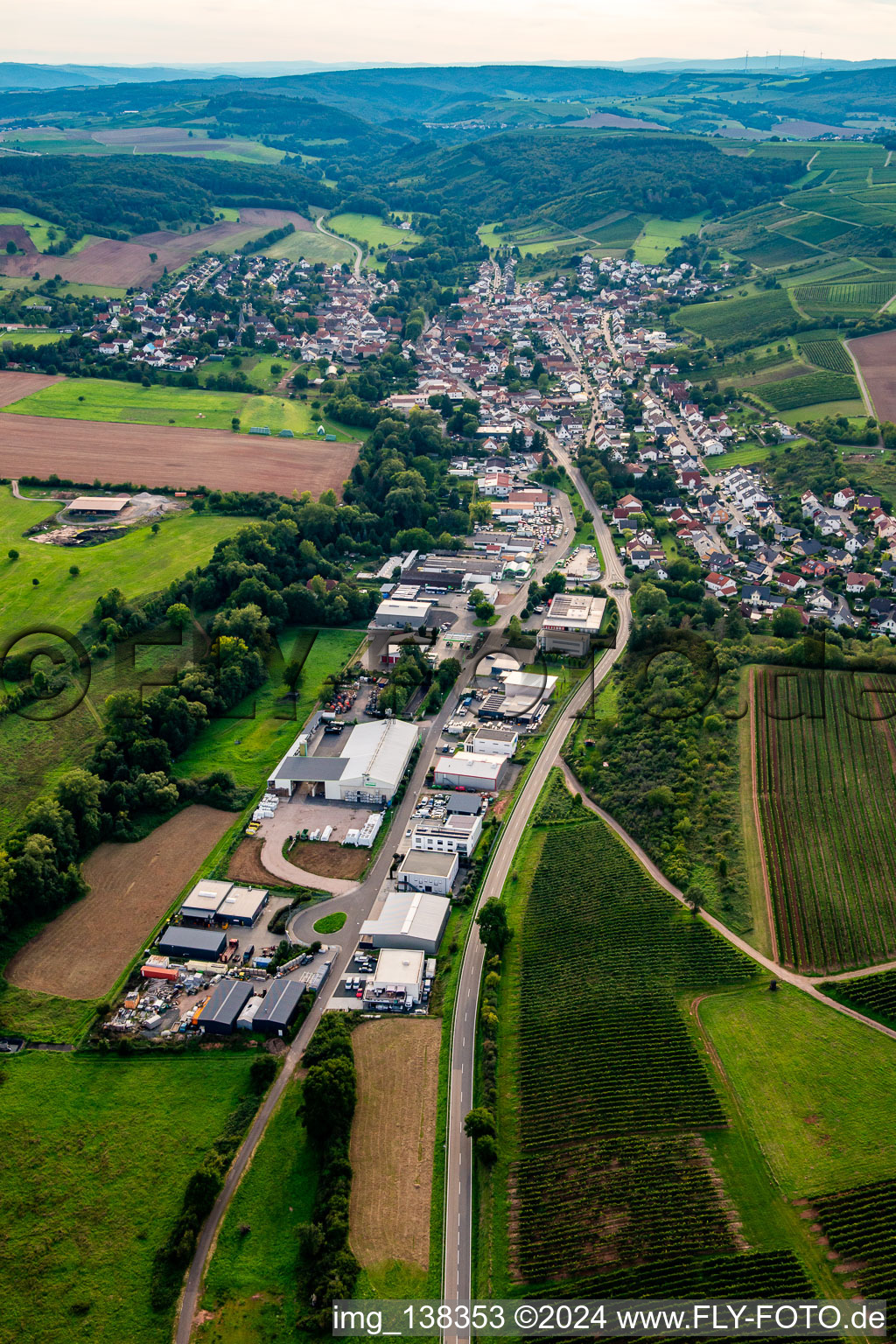 Vue aérienne de Weinsheim dans le département Rhénanie-Palatinat, Allemagne