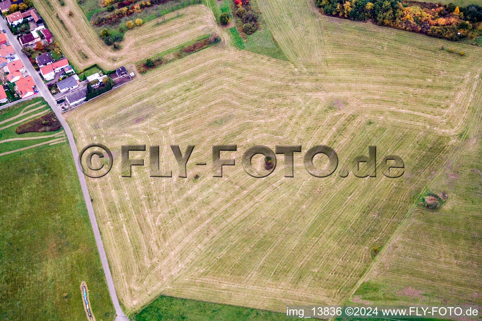 Vue aérienne de Prairie récoltée sur les rangées de champs agricoles à le quartier Büchelberg in Wörth am Rhein dans le département Rhénanie-Palatinat, Allemagne