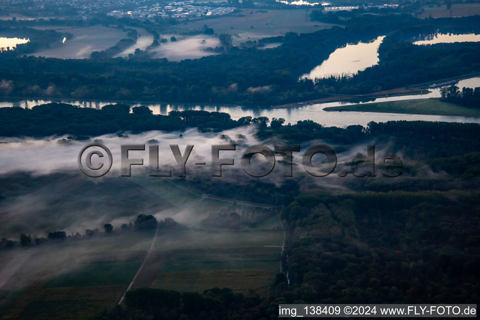 Vue aérienne de Altrhein Hömel dans le brouillard matinal avant le lever du soleil à le quartier Maximiliansau in Wörth am Rhein dans le département Rhénanie-Palatinat, Allemagne