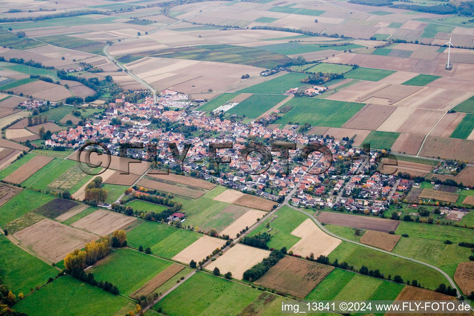 Vue aérienne de Champs agricoles et surfaces utilisables à Minfeld dans le département Rhénanie-Palatinat, Allemagne
