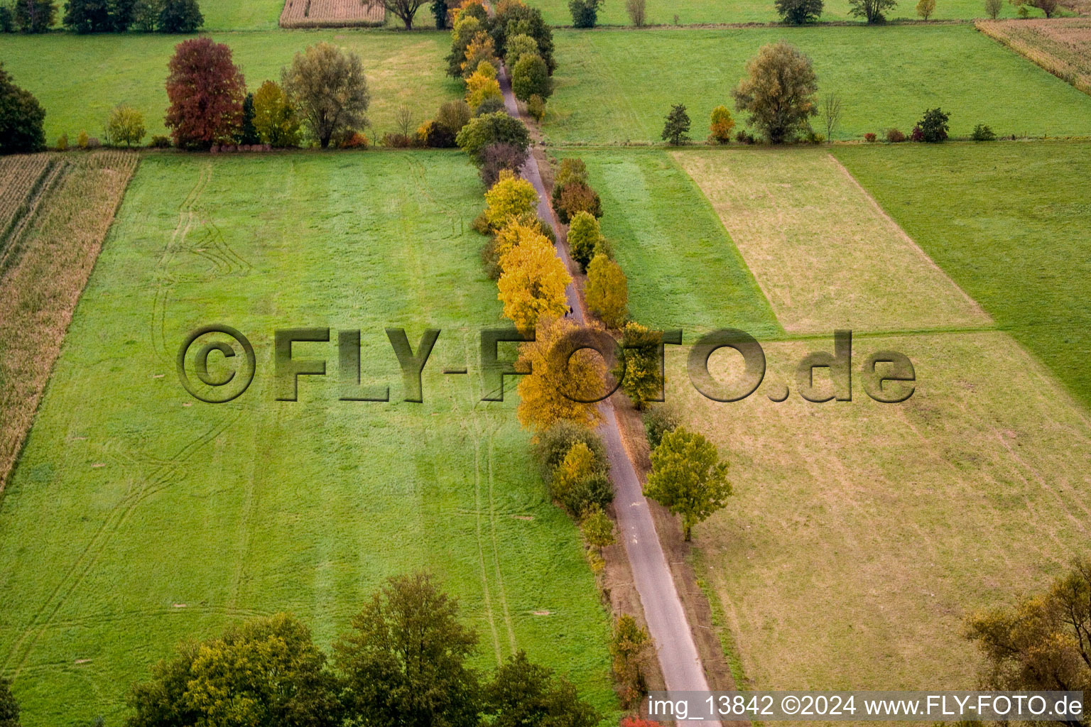 Vue aérienne de Vallée d'Otterbachtal à Minfeld dans le département Rhénanie-Palatinat, Allemagne