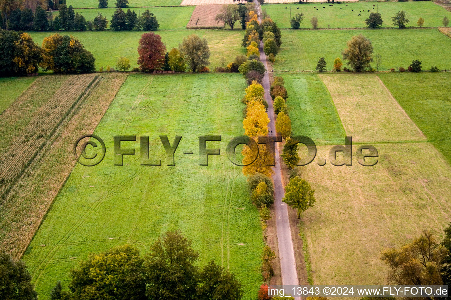 Vue aérienne de Vallée d'Otterbachtal à Minfeld dans le département Rhénanie-Palatinat, Allemagne