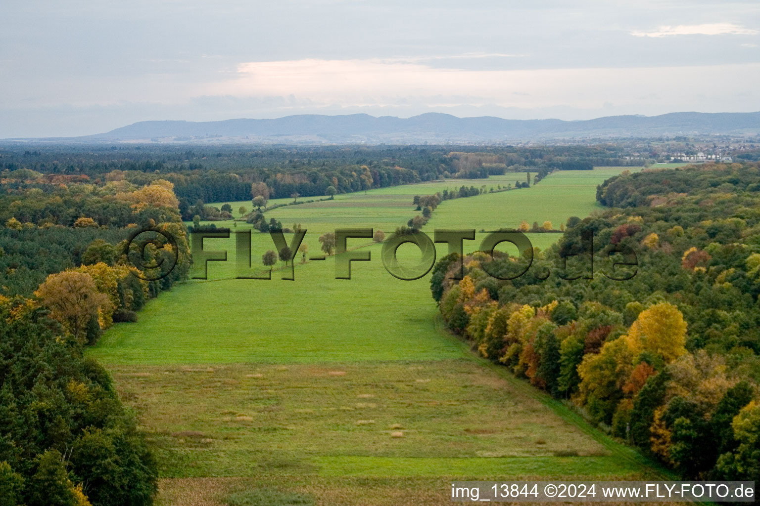 Photographie aérienne de Vallée d'Otterbachtal à Minfeld dans le département Rhénanie-Palatinat, Allemagne