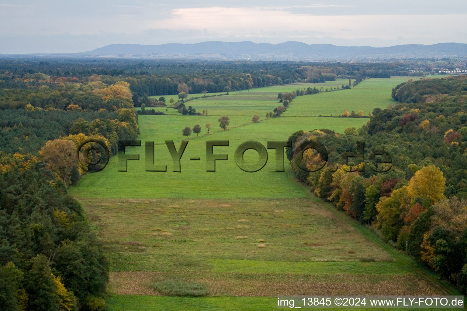 Vue oblique de Vallée d'Otterbachtal à Minfeld dans le département Rhénanie-Palatinat, Allemagne