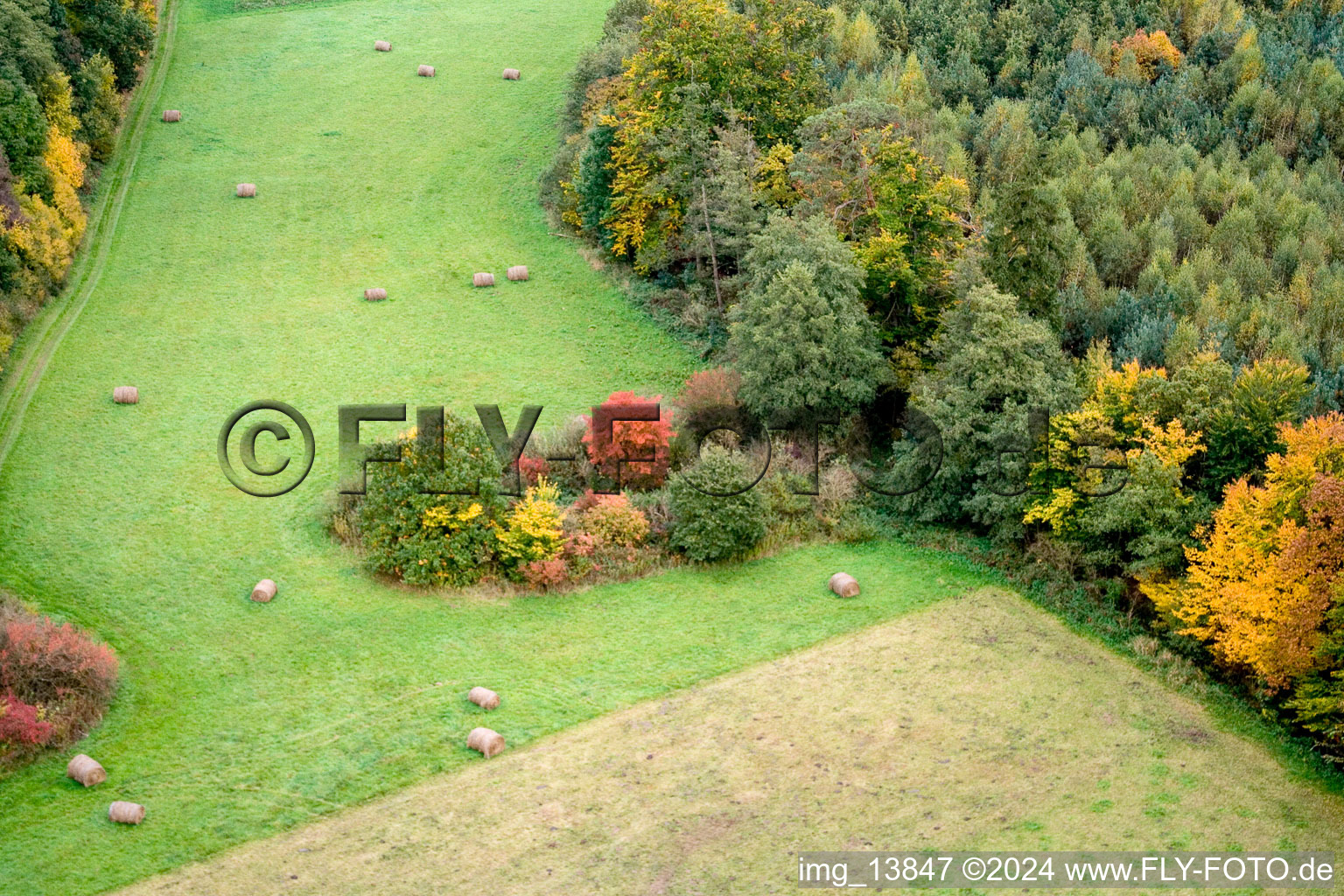 Vallée d'Otterbachtal à Minfeld dans le département Rhénanie-Palatinat, Allemagne hors des airs