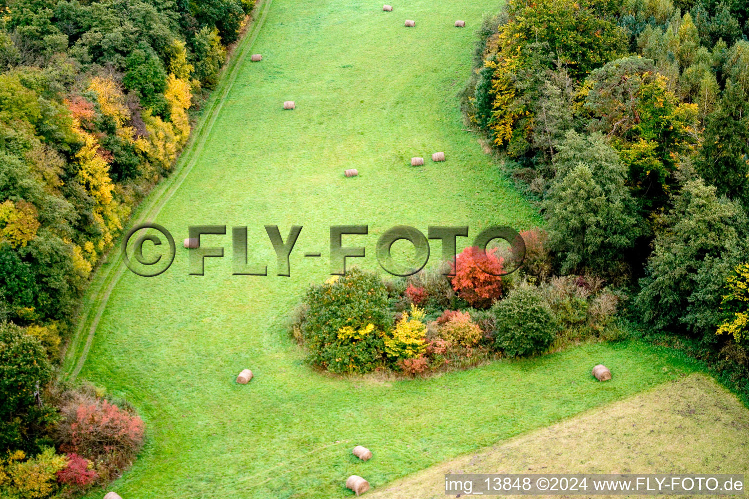 Vue aérienne de Balles de foin dans une clairière à la lisière automnale colorée de la forêt de Minfeld à Freckenfeld dans le département Rhénanie-Palatinat, Allemagne