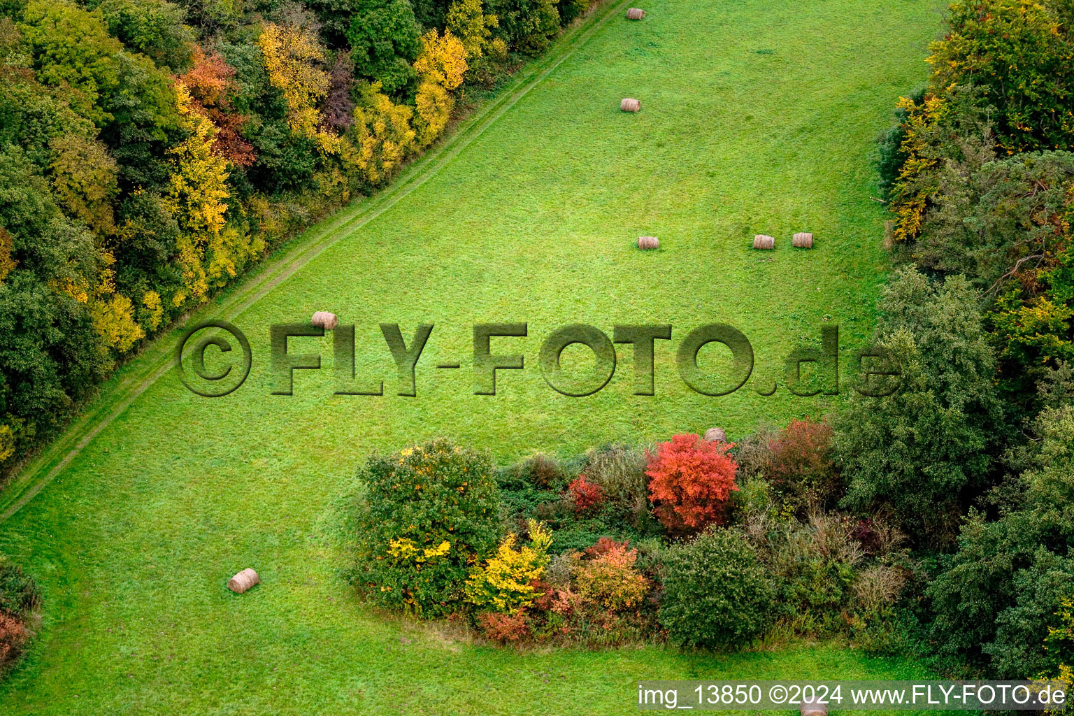 Vallée d'Otterbachtal à Minfeld dans le département Rhénanie-Palatinat, Allemagne vue d'en haut