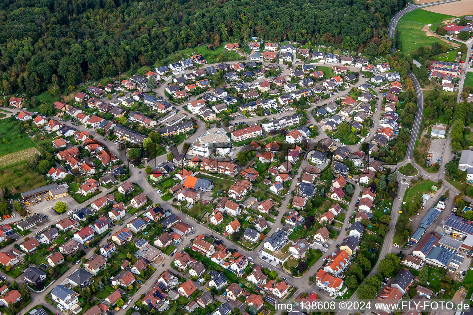 Vue aérienne de Quartier Rielingshausen in Marbach am Neckar dans le département Bade-Wurtemberg, Allemagne