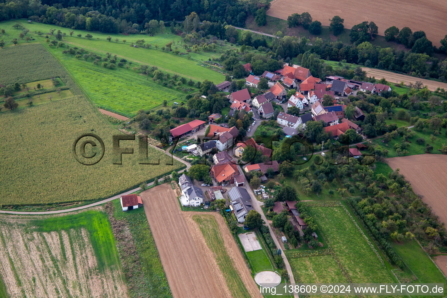 Vue aérienne de Quartier Lehrhof in Steinheim an der Murr dans le département Bade-Wurtemberg, Allemagne