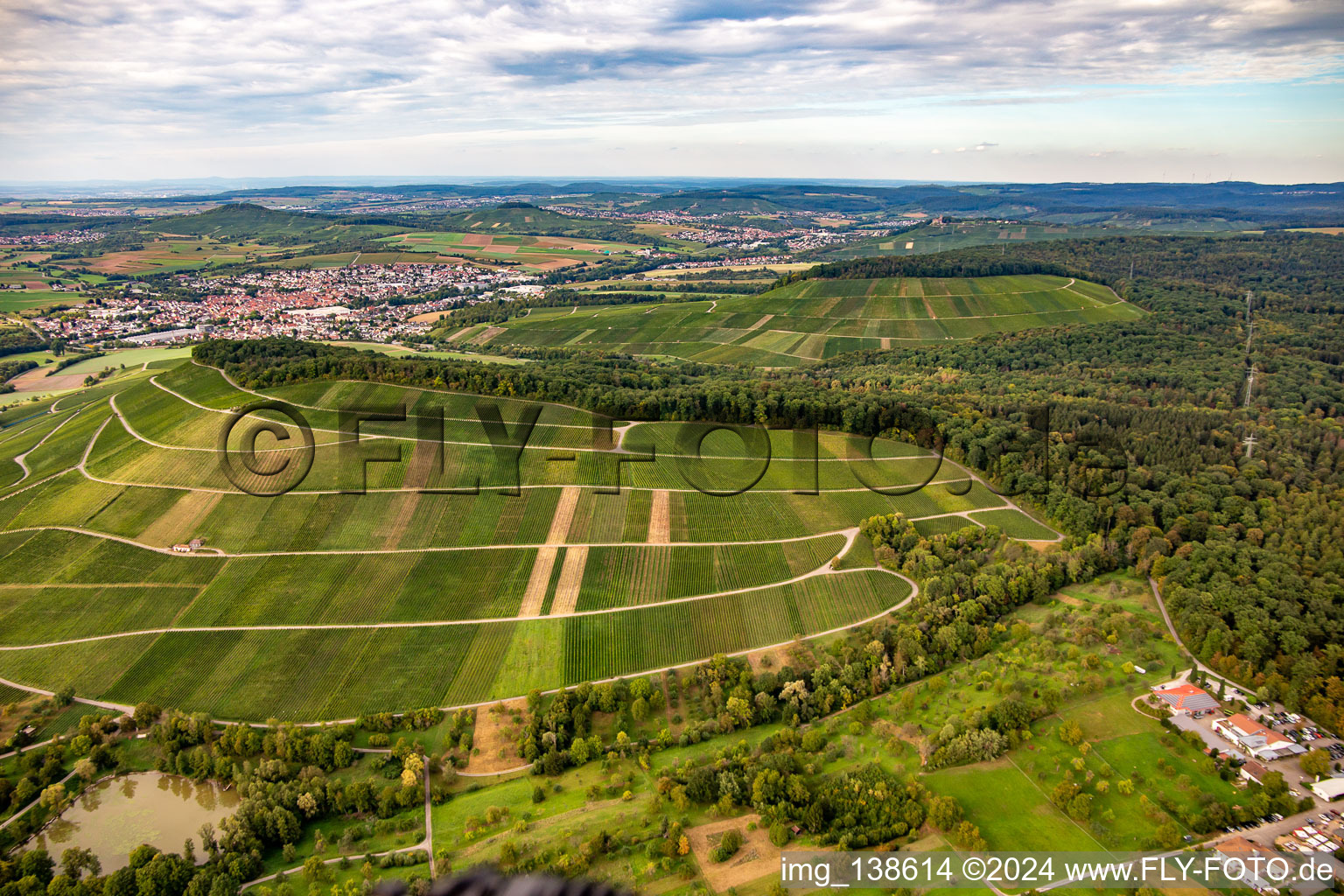 Vue aérienne de Vignoble de Großbottwar à le quartier Kleinbottwar in Steinheim an der Murr dans le département Bade-Wurtemberg, Allemagne