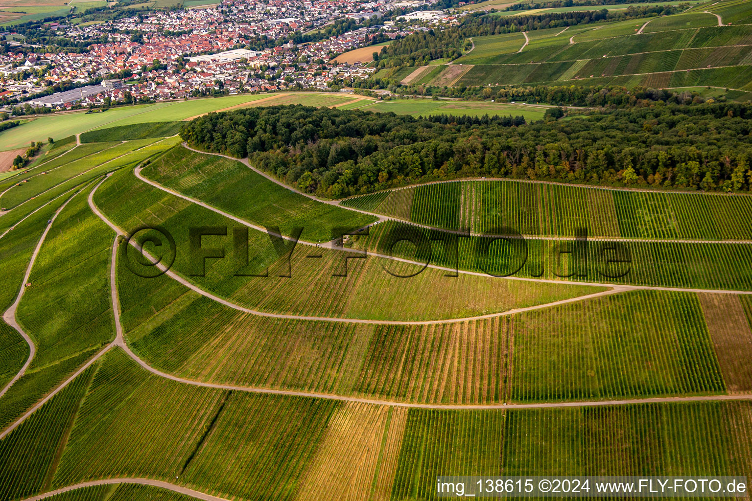 Vue aérienne de Vignoble de Großbottwar à le quartier Kleinbottwar in Steinheim an der Murr dans le département Bade-Wurtemberg, Allemagne