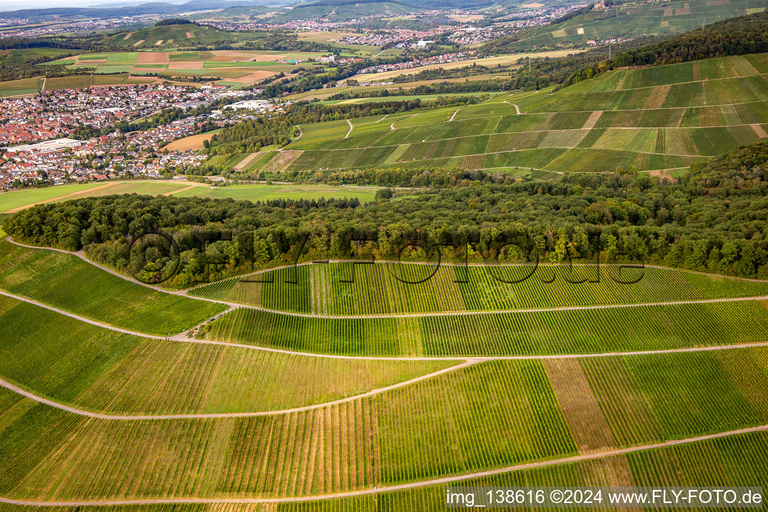 Photographie aérienne de Vignoble de Großbottwar à le quartier Kleinbottwar in Steinheim an der Murr dans le département Bade-Wurtemberg, Allemagne