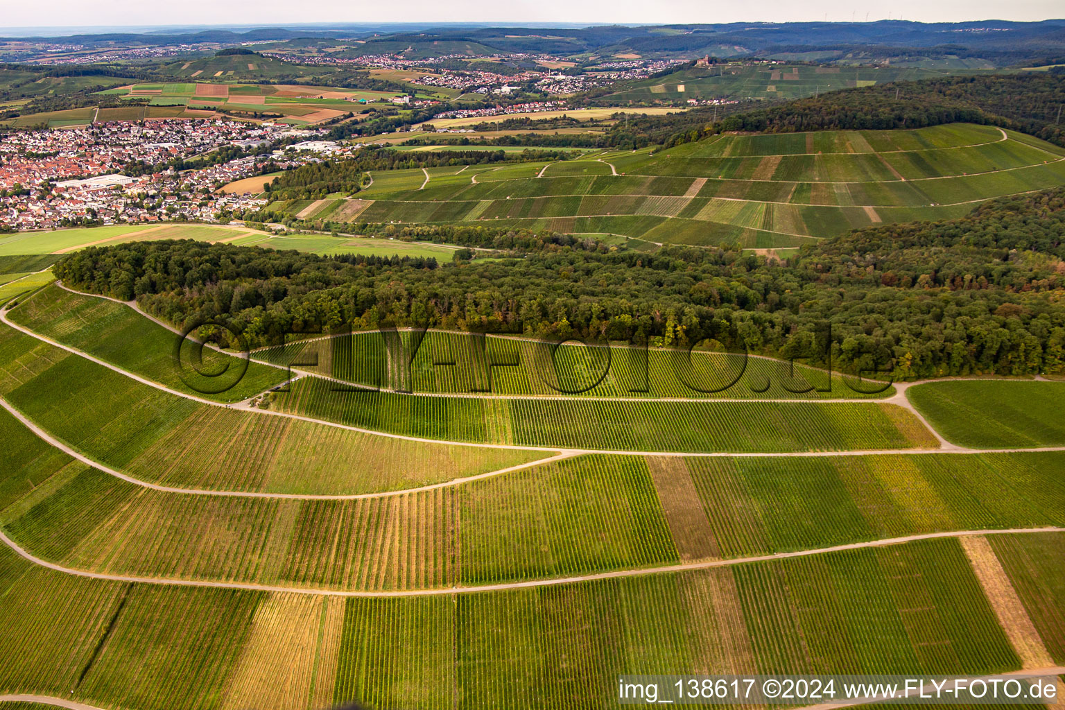 Vue oblique de Vignoble de Großbottwar à le quartier Kleinbottwar in Steinheim an der Murr dans le département Bade-Wurtemberg, Allemagne