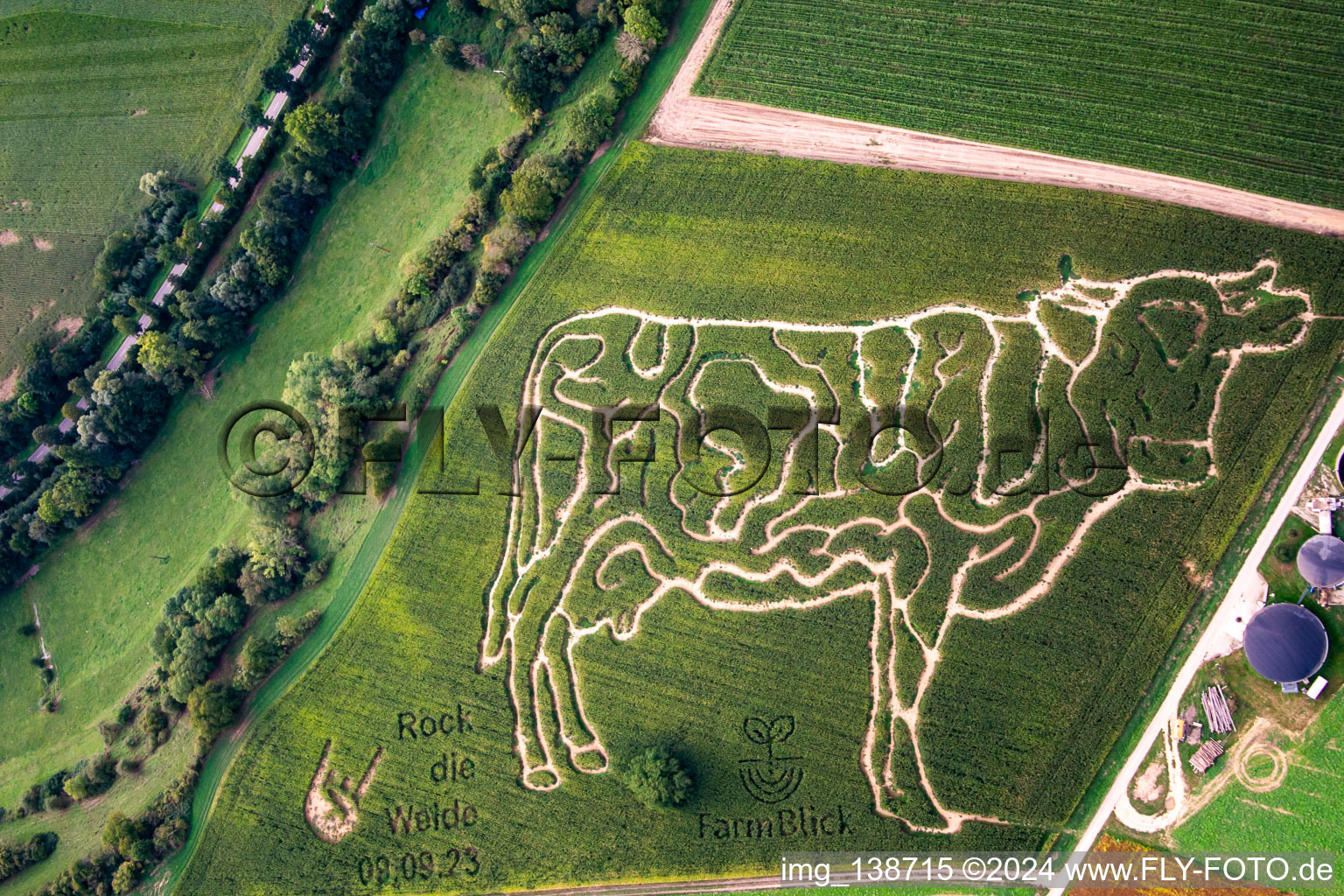 Vue aérienne de Labyrinthe de maïs à la ferme laitière Lämmle-Hofmann à le quartier Flehingen in Oberderdingen dans le département Bade-Wurtemberg, Allemagne