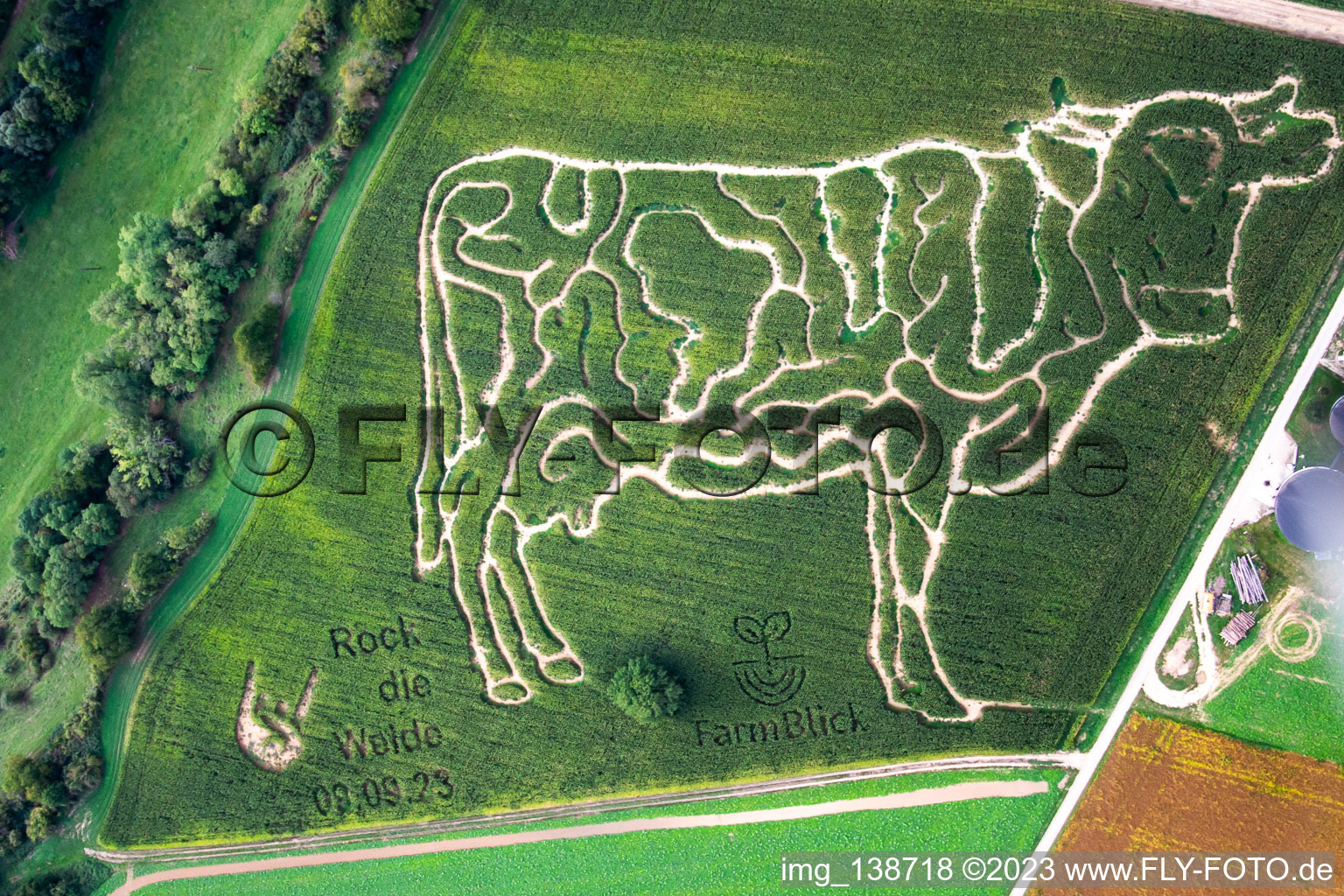 Photographie aérienne de Labyrinthe de maïs à la ferme laitière Lämmle-Hofmann à le quartier Flehingen in Oberderdingen dans le département Bade-Wurtemberg, Allemagne