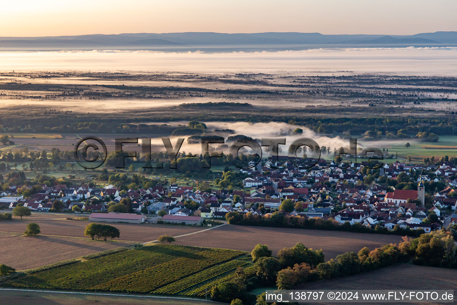 Vue aérienne de Devant le Bienwald dans la brume matinale à Steinfeld dans le département Rhénanie-Palatinat, Allemagne