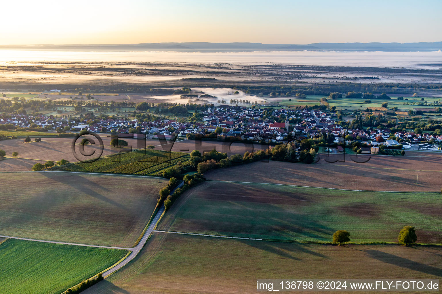 Vue aérienne de Devant le Bienwald dans la brume matinale à Steinfeld dans le département Rhénanie-Palatinat, Allemagne