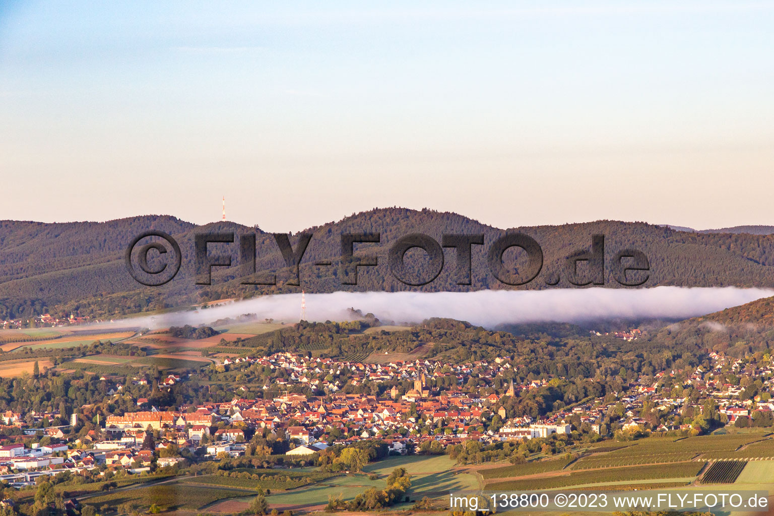 Wissembourg dans le département Bas Rhin, France du point de vue du drone