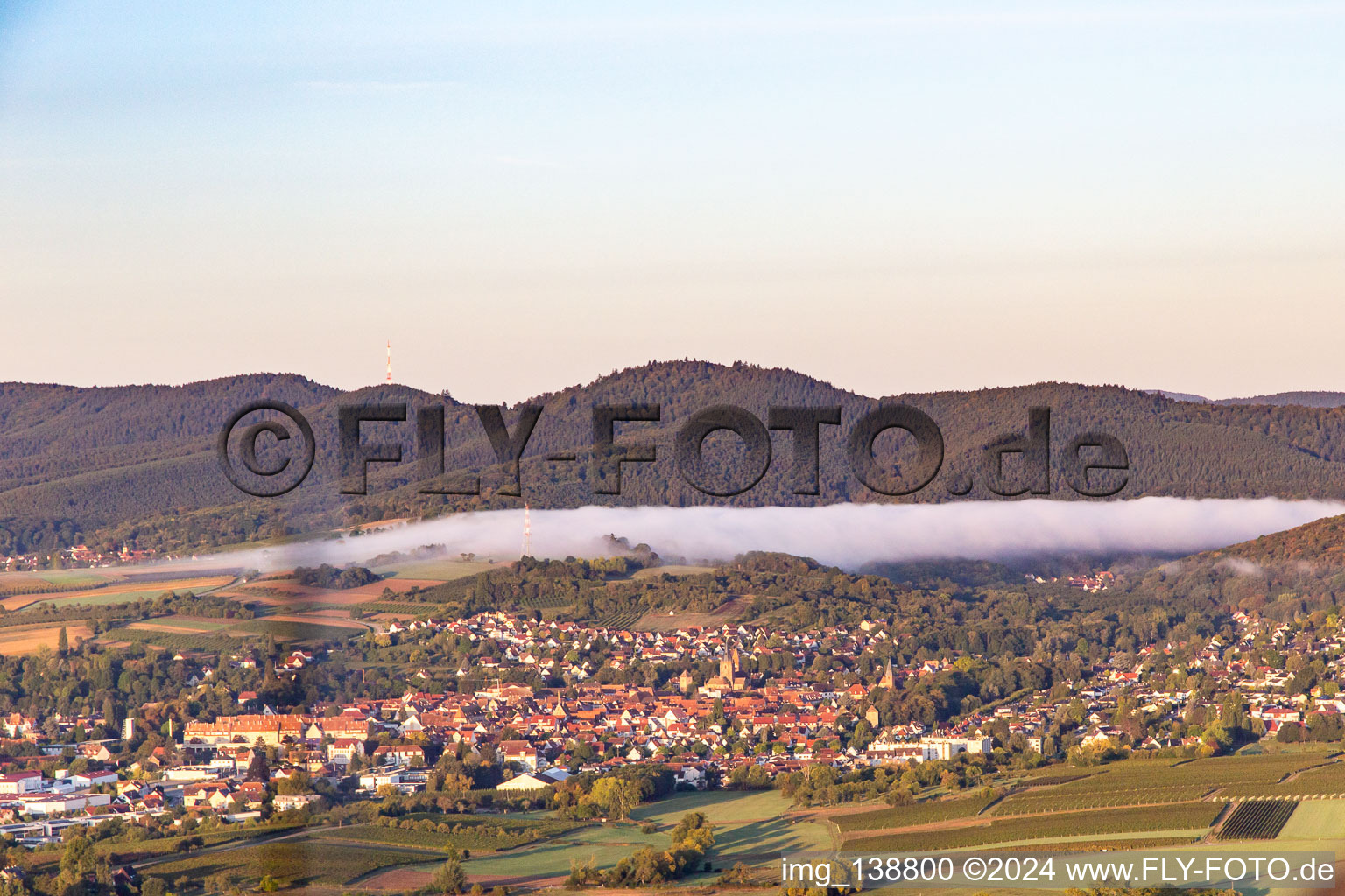 Wissembourg dans le département Bas Rhin, France vue d'en haut