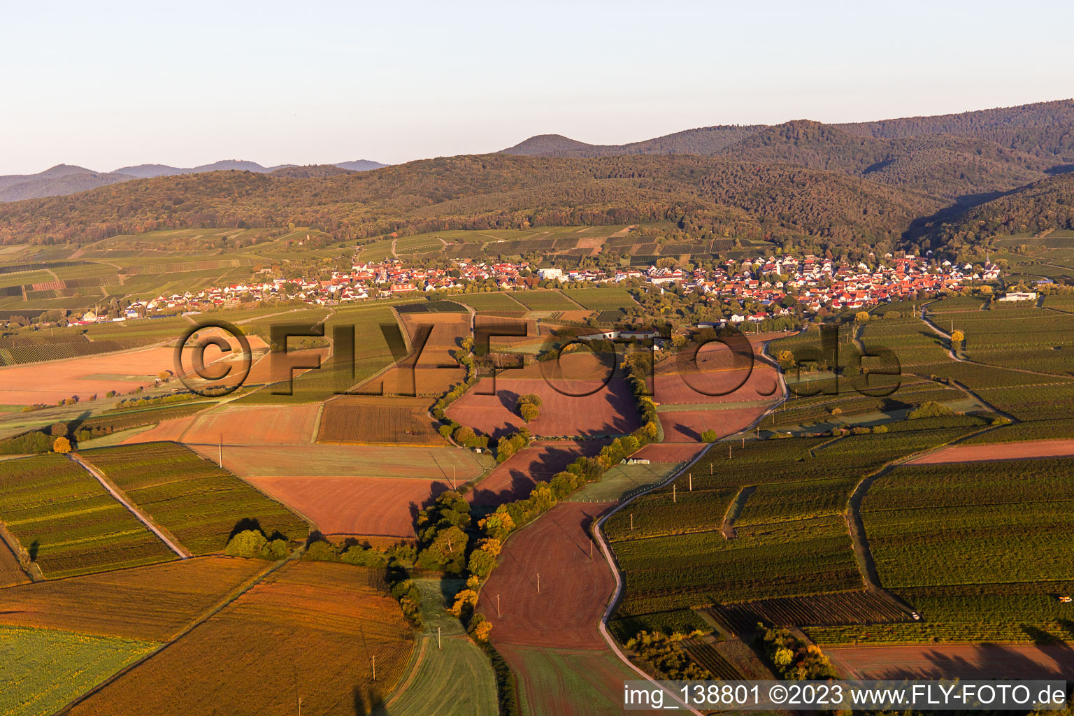 Vue aérienne de Rußbachtal depuis l'est à le quartier Rechtenbach in Schweigen-Rechtenbach dans le département Rhénanie-Palatinat, Allemagne
