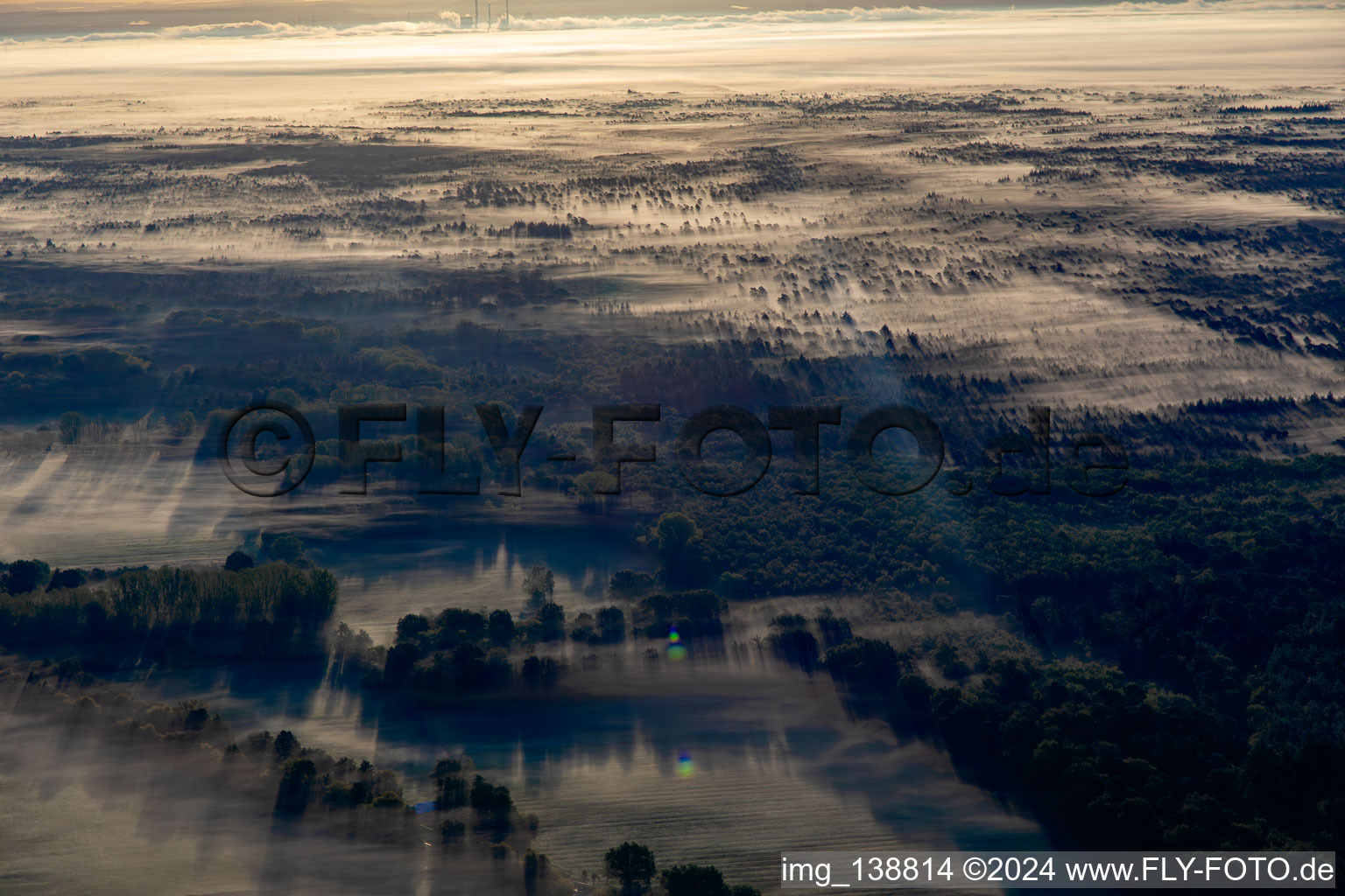 Vue aérienne de Bienwald dans la brume matinale à Schweighofen dans le département Rhénanie-Palatinat, Allemagne